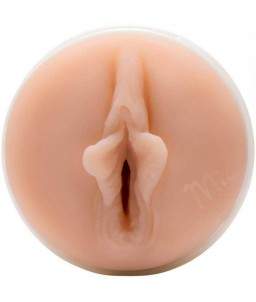 Fleshlight Launchpad Pour Ipad 4, 3, 2